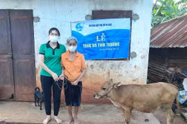 Sôi nổi phong trào phụ nữ giúp nhau vượt khó