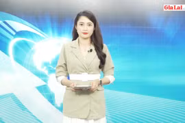 Gia Lai 48h: Một học sinh đạt huy chương bạc và giải đặc biệt tại cuộc thi Sáng tạo Sáng chế Quốc tế-iCAN 2021