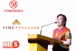 Chủ tịch Vimedimex Nguyễn Thị Loan bị bắt: "Cặp đôi" Vimedimex và Chứng khoán Hòa Bình "cắm đầu" giảm sàn