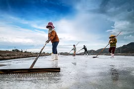 Gia Lai: 2 tác phẩm triển lãm tại cuộc thi quốc tế "Nhiếp ảnh gia môi trường"