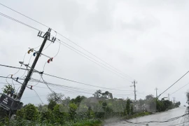 EVN đã khôi phục hoàn toàn lưới điện truyền tải 200kV và 500kV