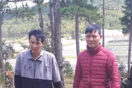 Lâm Đồng: Bắt quả tang hai đối tượng phá rừng phòng hộ đầu nguồn