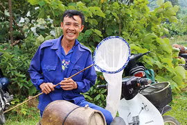 Kỳ thú chuyện săn ong giống ở xứ Nghệ