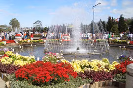 Phát miễn phí 10.000 bản đồ du lịch trong dịp Festival hoa Đà Lạt