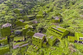 Khám phá "làng chài xanh" kỳ diệu ở Trung Quốc