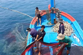 Những hành vi cấm trong hoạt động thủy sản