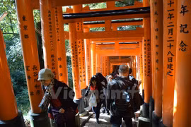 Chiêm ngưỡng ngôi đền cổ ngàn cổng Fushimi Inari ở Nhật Bản