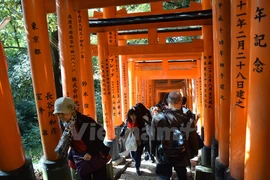 Chiêm ngưỡng ngôi đền cổ ngàn cổng Fushimi Inari ở Nhật Bản