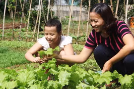 Vượt qua nỗi đau ung thư: Nghị lực sống của mẹ con cô giáo