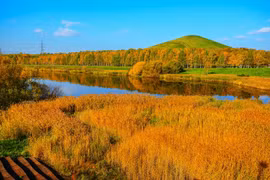 Mùa thu ở Hokkaido qua ống kính du khách Việt