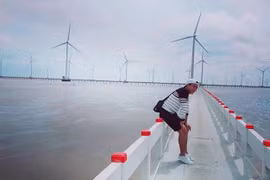 Cánh đồng quạt gió đẹp như thiên đường ngay tại Việt Nam