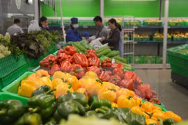 Xuất khẩu nông, lâm, thủy sản 11 tháng qua ước đạt trên 33 tỷ USD