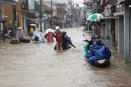 Oằn mình trong mưa bão