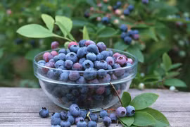 8 loại thực phẩm không tốt cho răng của bạn