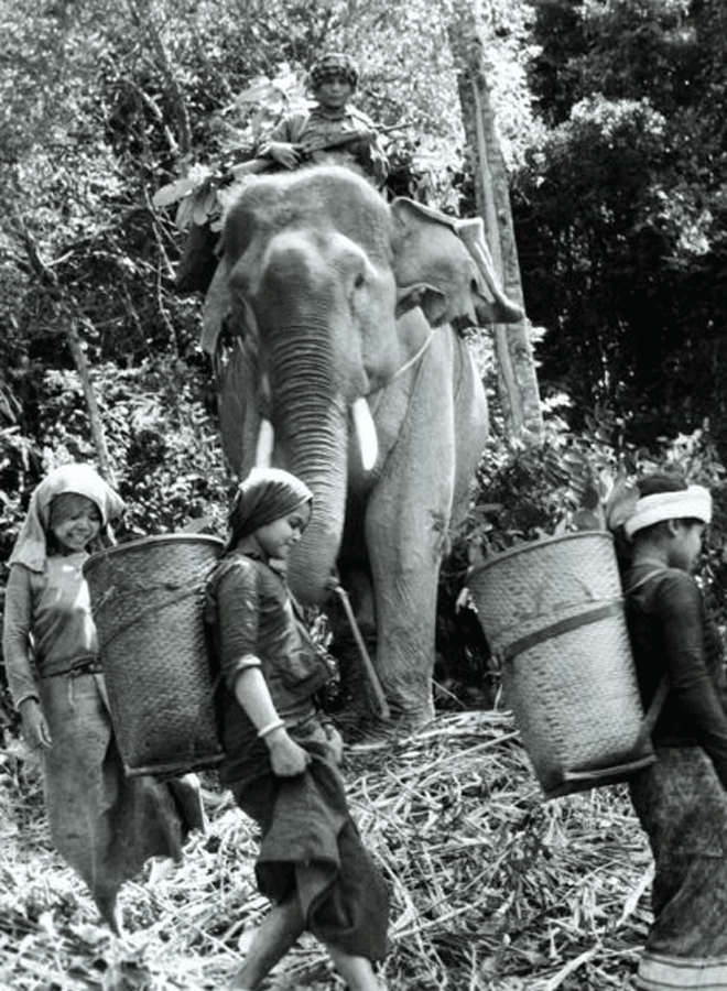 "Chợ" vùng biên thời chống Mỹ