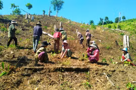 Thiết lập kỷ cương trong bảo vệ rừng