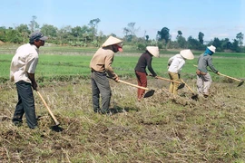 Quan tâm đất sản xuất cho đồng bào dân tộc thiểu số