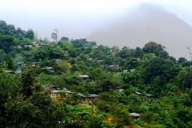 Những tỉ phú dưới chân Ngọc Linh