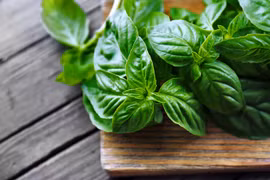 Ngừa bệnh từ húng quế