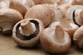 Muốn ngăn ngừa lão hóa, nên ăn nấm