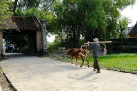 Về thăm Làng cổ Đường Lâm