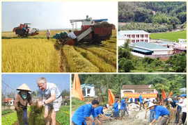 Điều chỉnh một số nội dung Chương trình MTQG xây dựng nông thôn mới