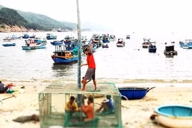 Đảo "lạc" giữa phố