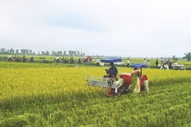 Đề nghị tiếp tục thực hiện thu thuế nông nghiệp sau năm 2020