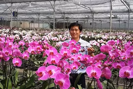 "Sang còi" khởi nghiệp