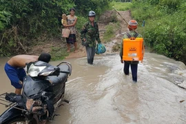 Thuốc bảo vệ thực vật "rải thảm" vùng cao