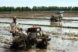 Thêm ưu đãi cho nông dân có bảo hiểm nông nghiệp