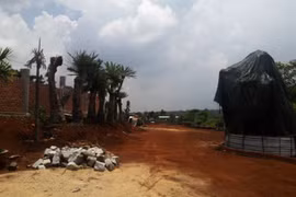 Bắt Trưởng ban Quản lý rừng phòng hộ Bắc Biển Hồ