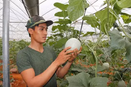 "Trai đẹp" làm nông