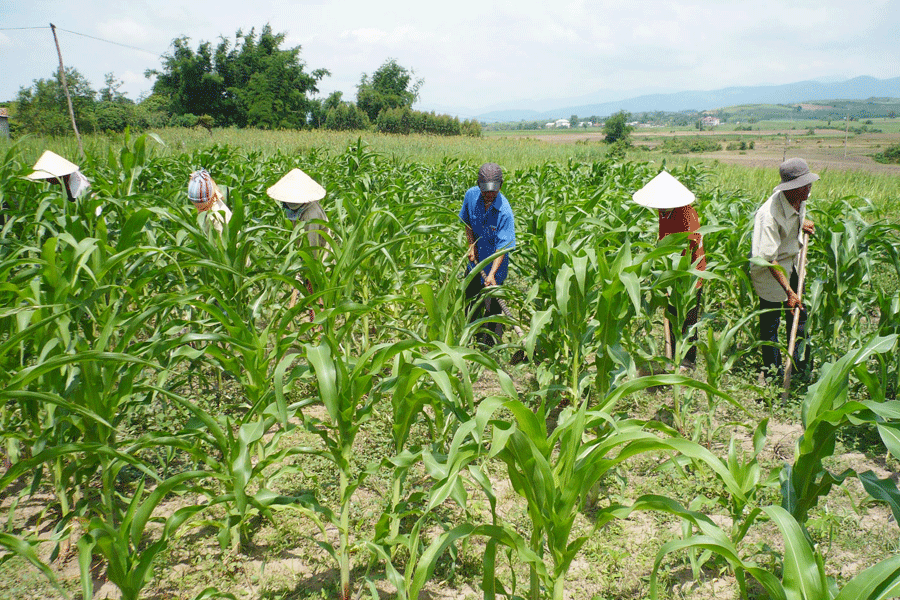 Thanh niên Ayun chủ động gây quỹ Đoàn