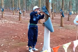 Công ty 715: Hội thi thợ giỏi khai thác mủ cao su