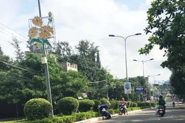 Thị xã Ayun Pa xây dựng nếp sống văn hóa và đô thị văn minh