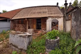 Cắn răng phá nhà cổ Đường Lâm