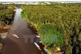 Làng nổi Tân Lập - điểm đến hấp dẫn của vùng Đồng Tháp Mười