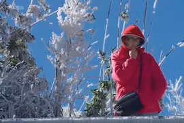 Băng tuyết phủ trắng đỉnh Fansipan, du khách ngỡ như ở Thụy Sĩ