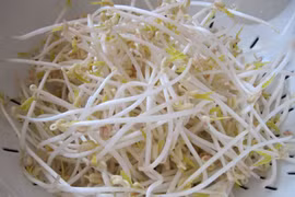 5 thực phẩm giúp bạn giảm cholesterol trong máu