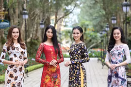 Hoa hậu Hoàn vũ Việt Nam diện áo dài giữa đồi thông Đà Lạt