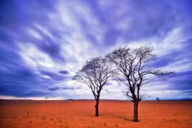 Cảnh Việt Nam xanh thẳm, đẹp như thơ