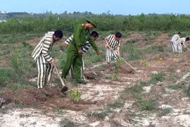 Đề xuất sửa đổi, bổ sung Luật thi hành án hình sự