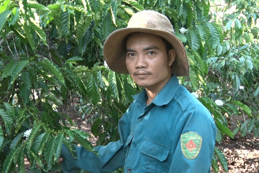 Nguyễn Sỹ Thượng: Cử nhân kinh tế làm giàu bằng nghề nông