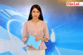 Gia Lai 48h: Sản xuất rau an toàn: Nhiều cơ hội, lắm thách thức