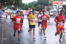 Những màn rượt đuổi khá hấp dẫn