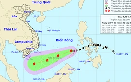 Thêm bão mới thành hình ở Philippines, bão 15 suy yếu