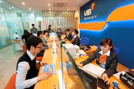 VIB phát hành chứng chỉ tiền gửi bằng VND với lãi suất 8,7%