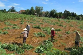 Góc nhìn phóng viên: Nhìn từ chuyện nhà máy xin... giải cứu