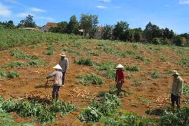 Góc nhìn phóng viên: Nhìn từ chuyện nhà máy xin... giải cứu